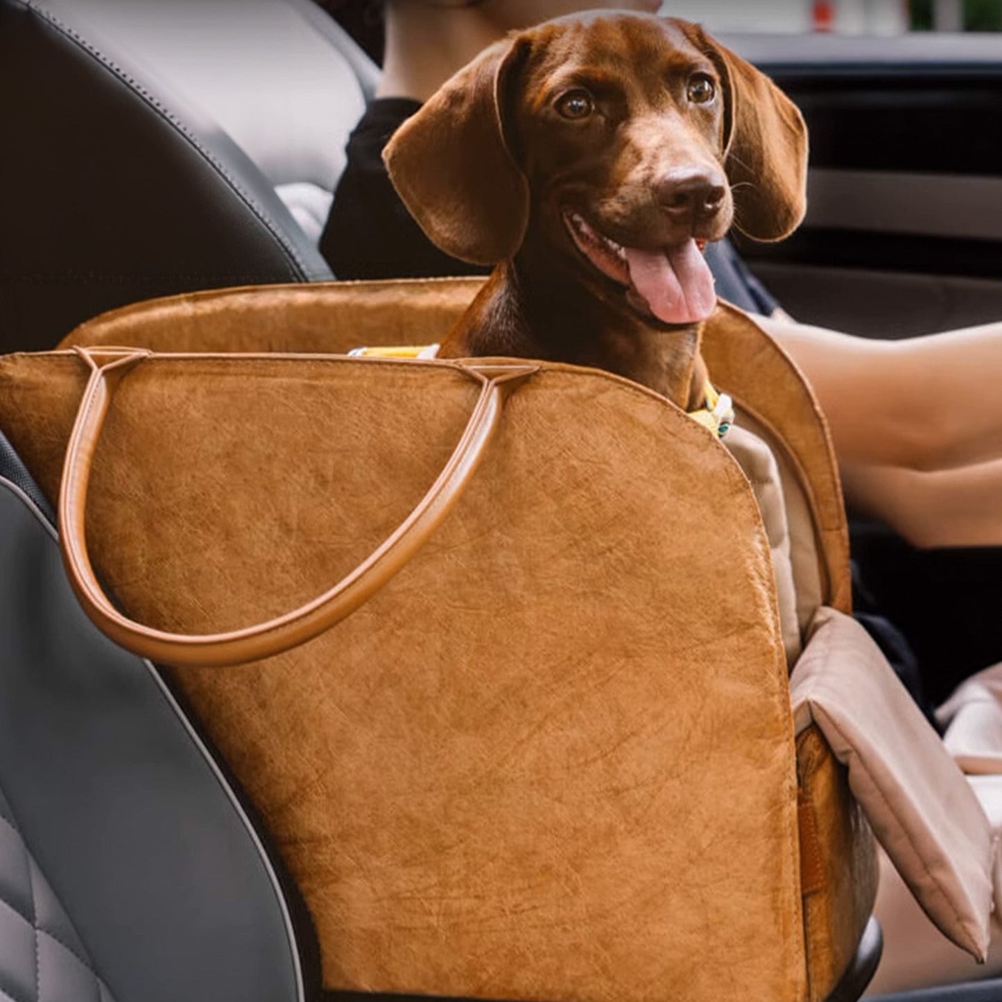 Compact Pet Carrier Bag - Lightweight & Ventilated