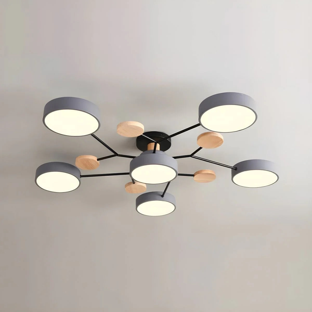 Circular Metal LED Pendant Light For Home