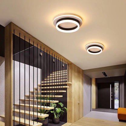 Elegant Entryway Ceiling Light