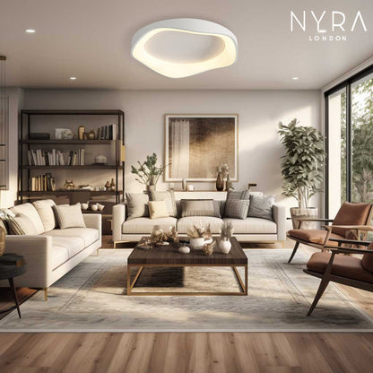 Modern LED Ceiling Wall Light