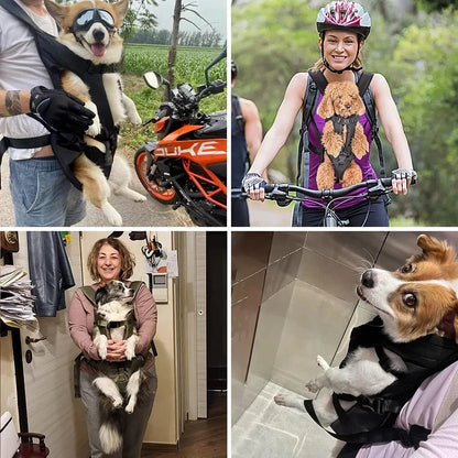 Paw Friendly Outdoor Pet Backpack Carrier
