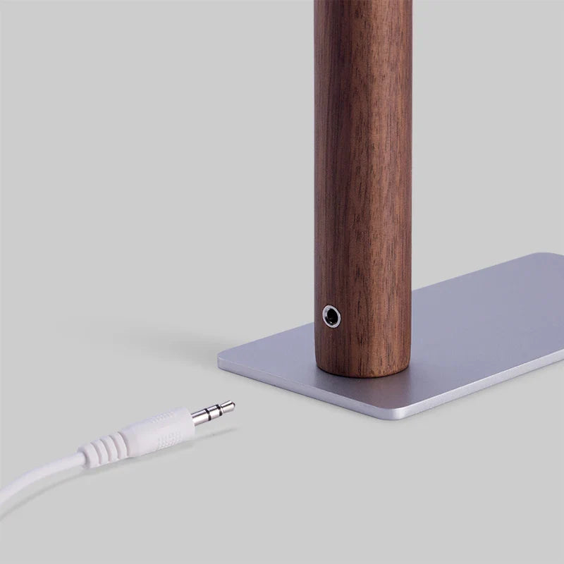Adjustable LED Table Lamp with Flexible Arm