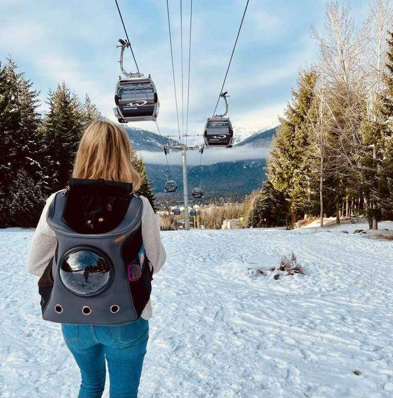 Breathable Pet Carrier Backpack with Mesh Window