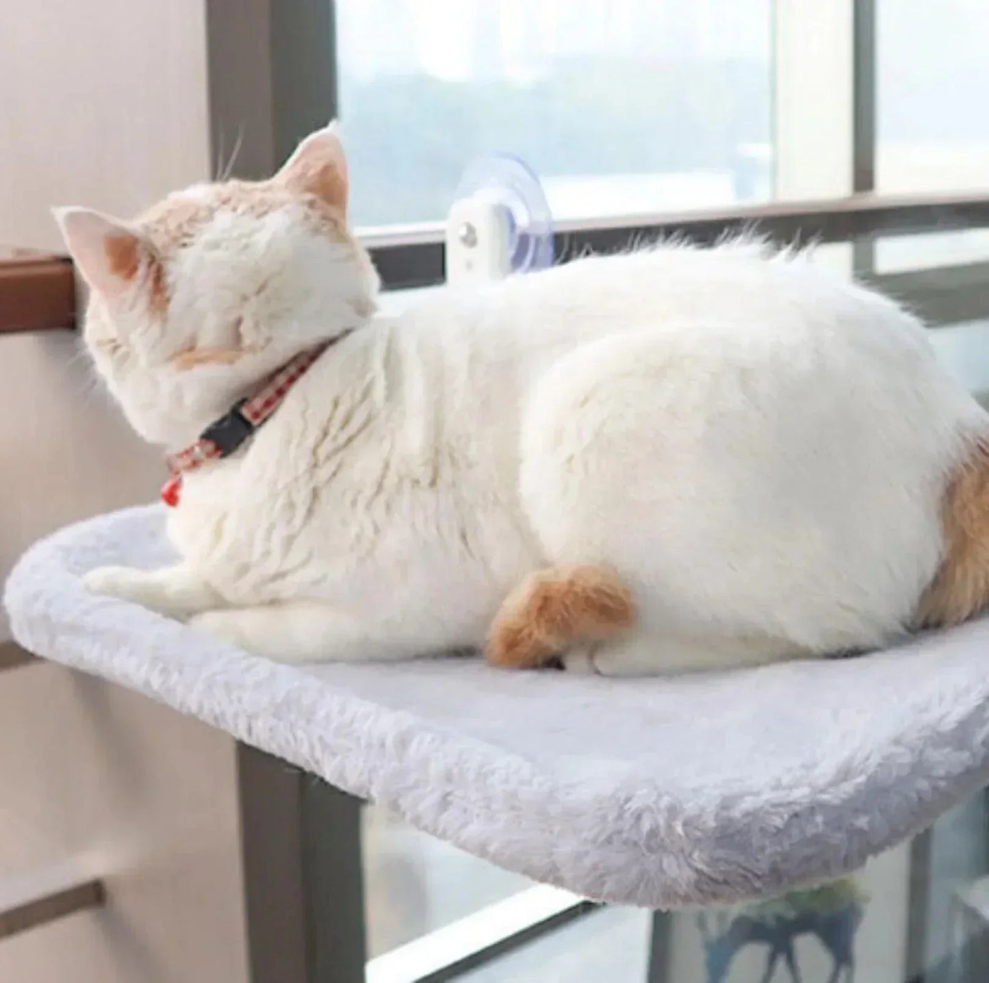 Comfy Cat Hanging Bed Pet Lounge