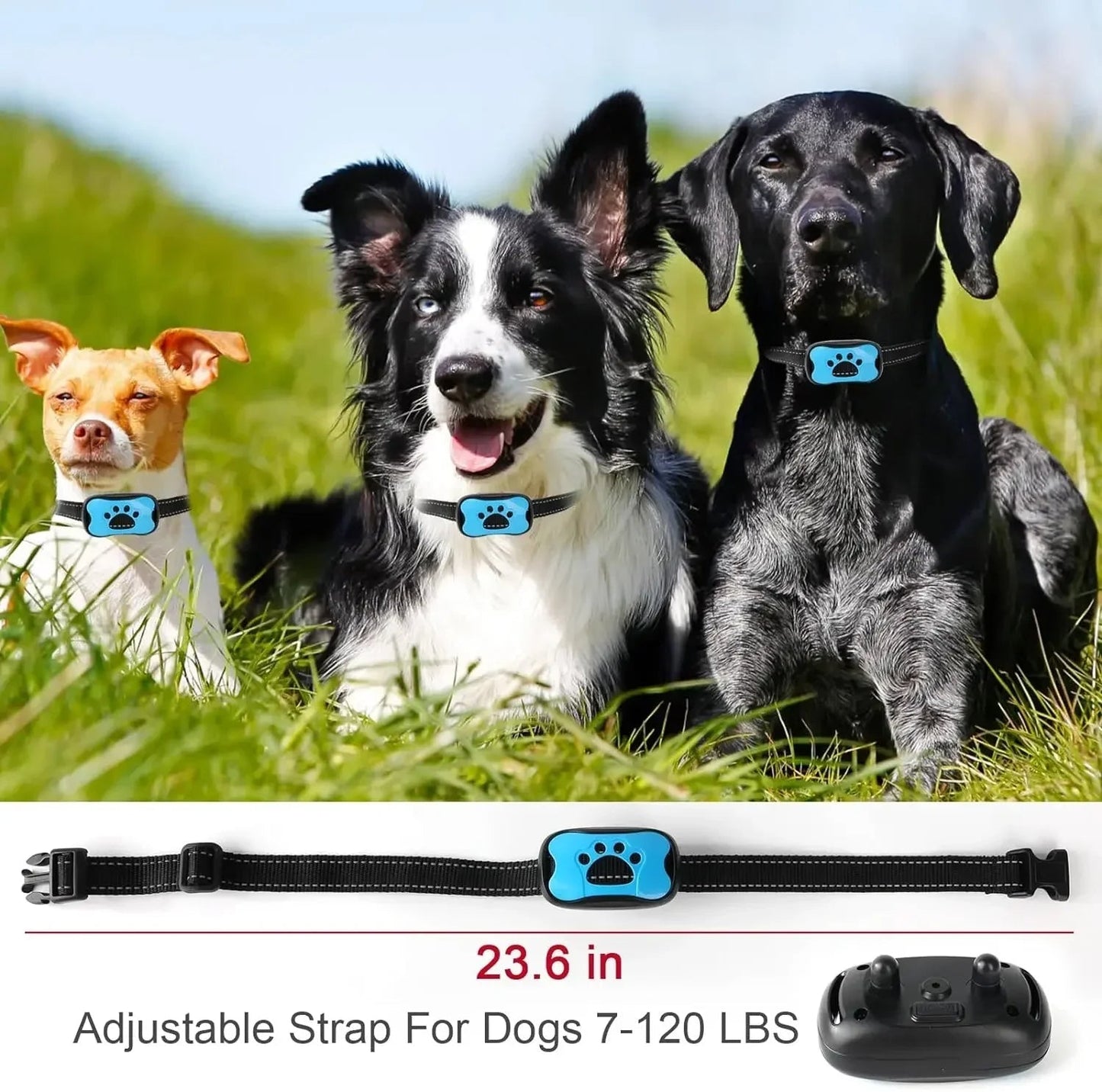 Effective No Bark Vibration Dog Training Collar