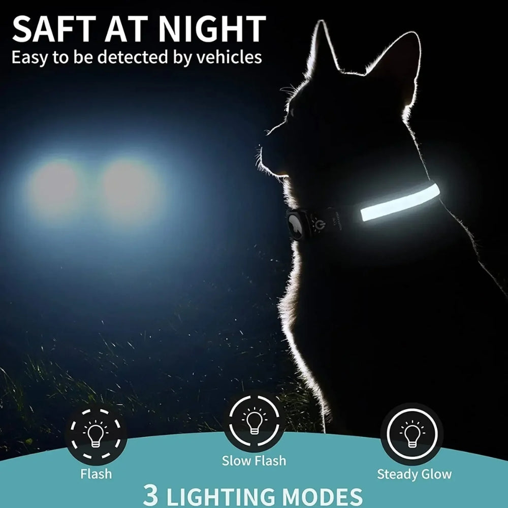 Waterproof LED Pet Dog Collar With Tracker Slot