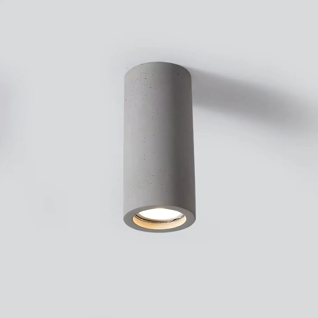 Elegant Home Ceiling Light Fixture