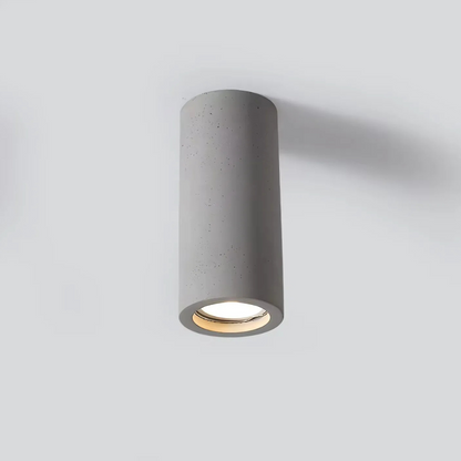 Elegant Home Ceiling Light Fixture