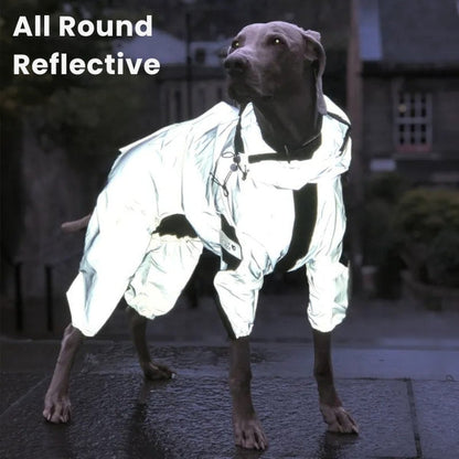 Waterproof Dog Rain Jacket with Leg Covers All Sizes