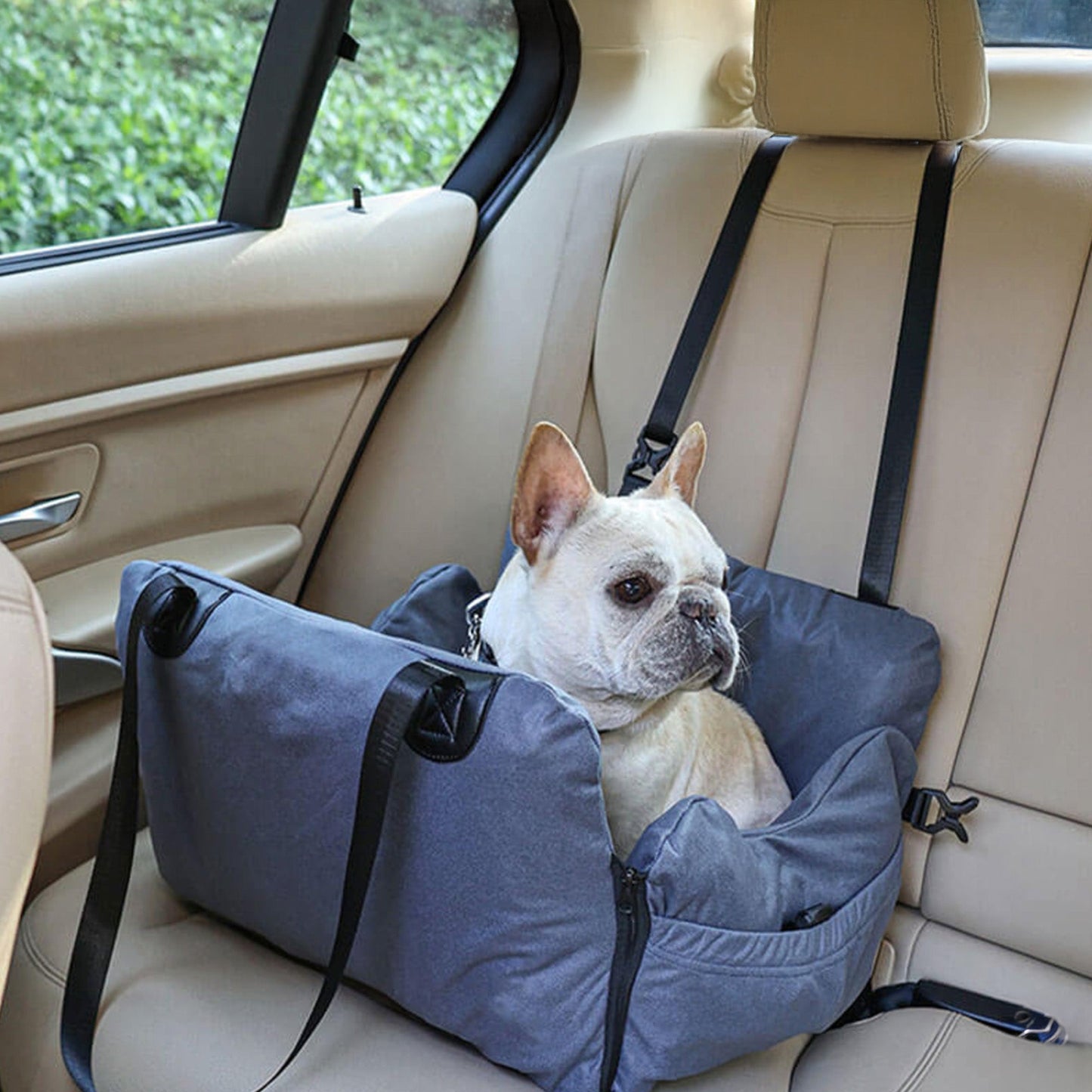 Versatile Pet Car Bed and Carrier Set