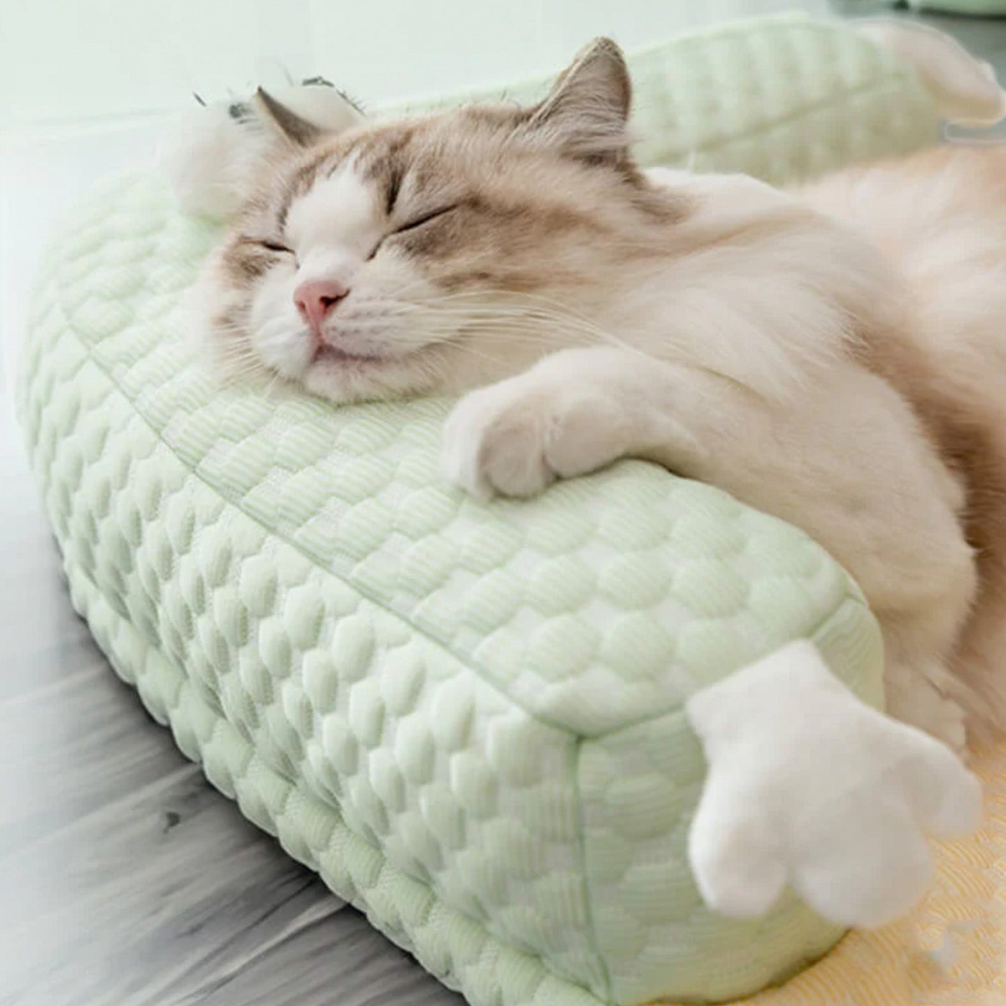 Comfortable Pet Bed with Supportive Cooling Design