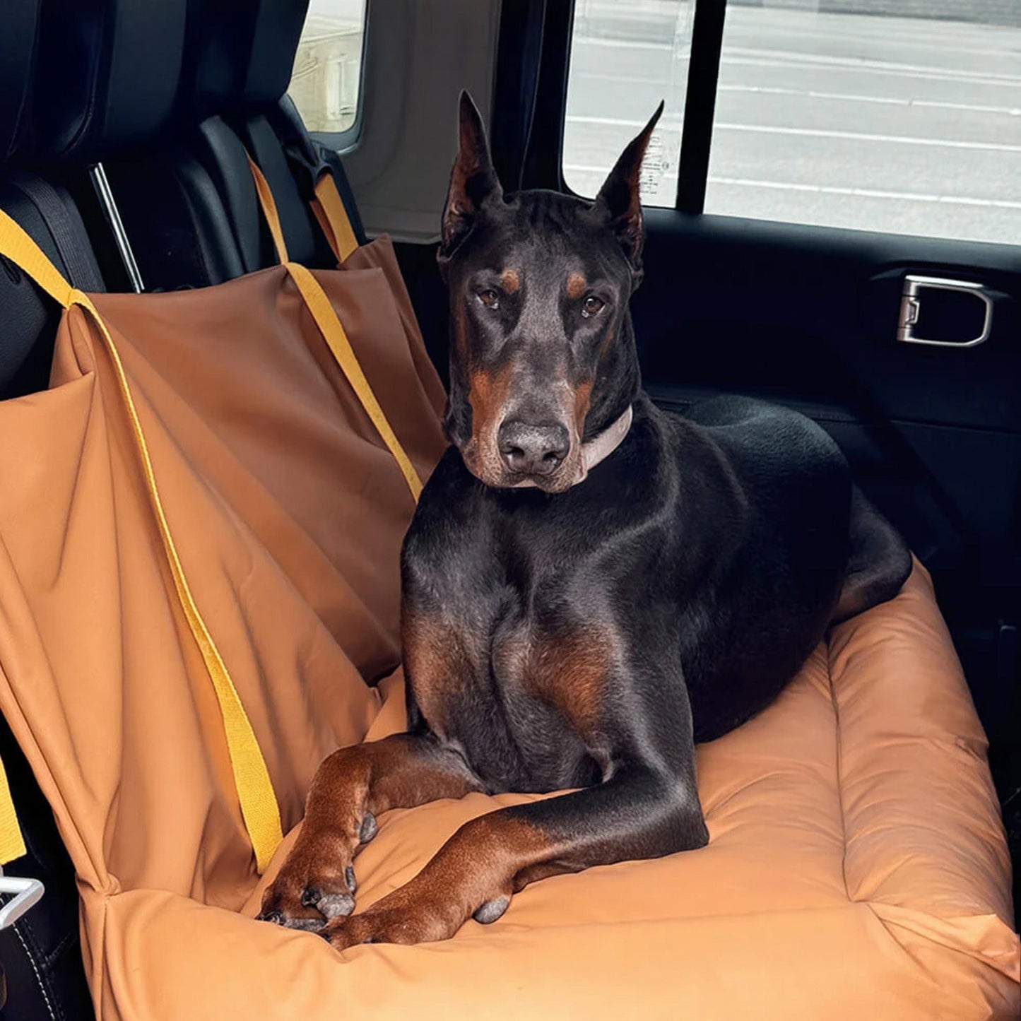 Durable Pet Car Seat - Safe and Comfortable Ride