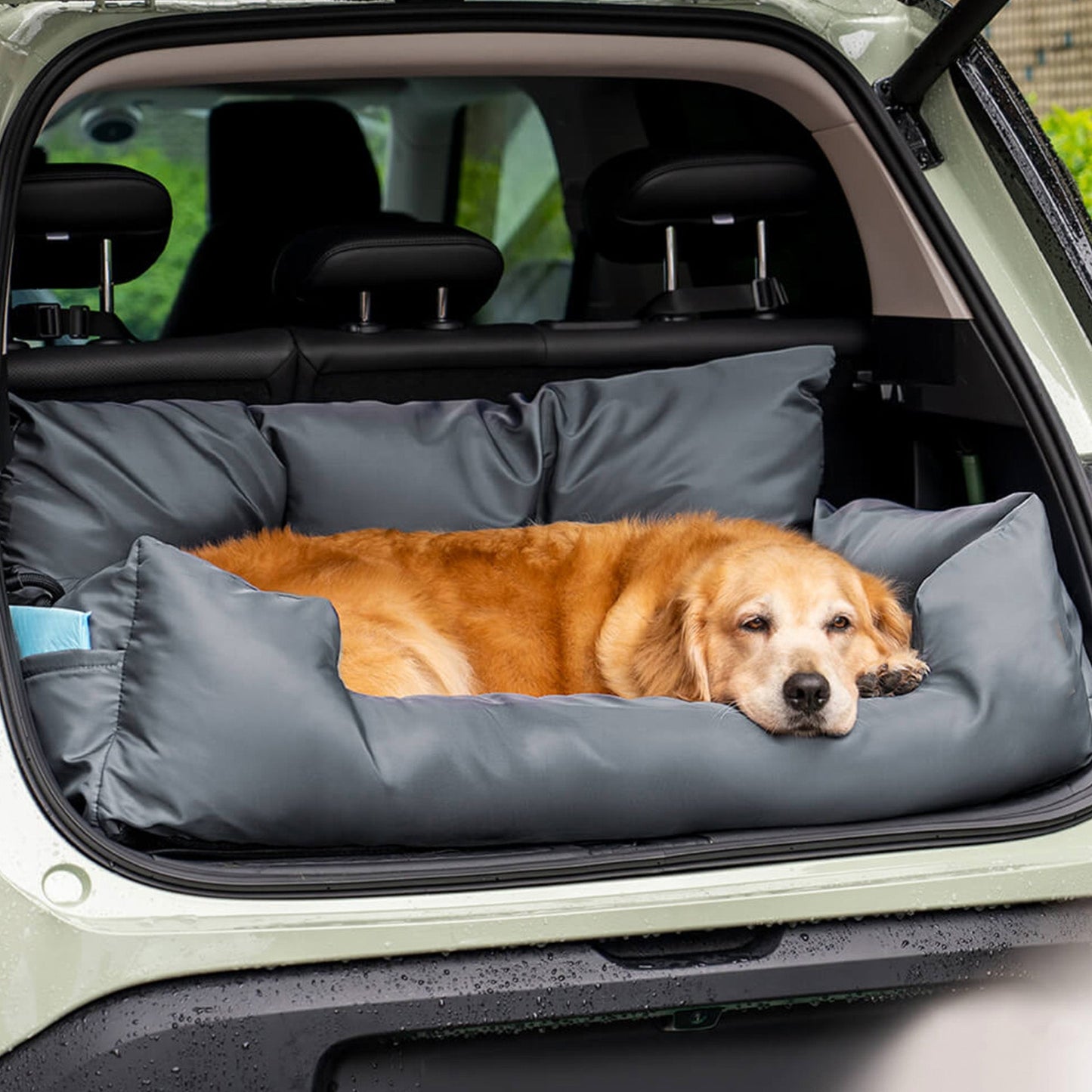 Durable Pet Car Booster Seat - Safe and Cozy