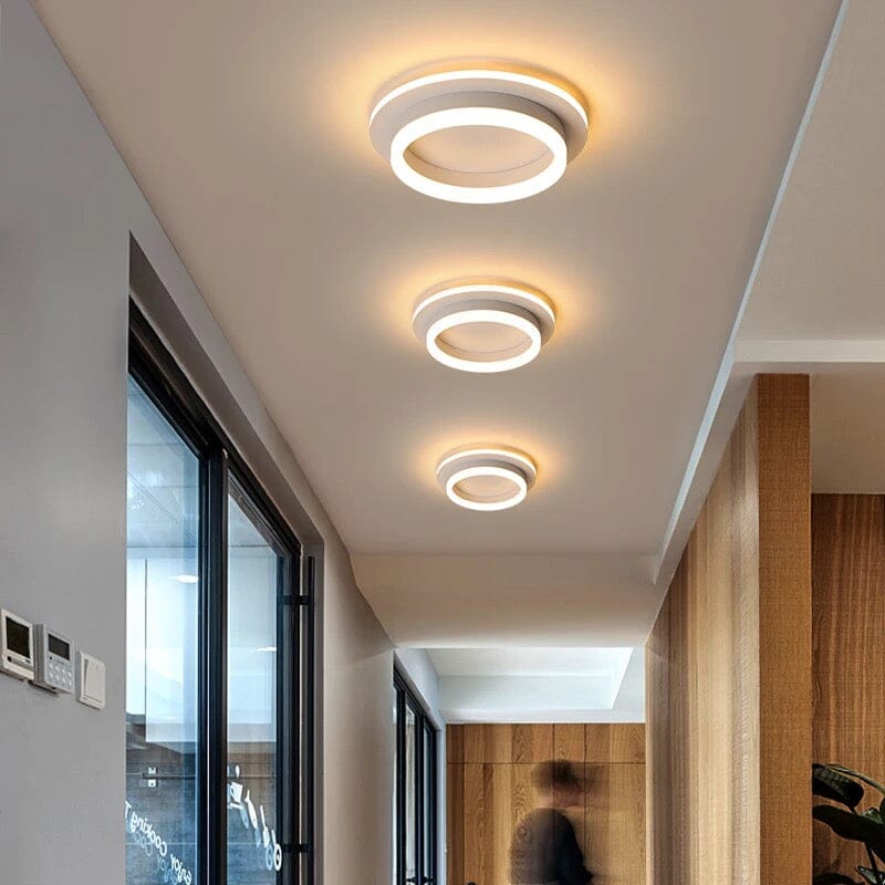 Elegant Entryway Ceiling Light