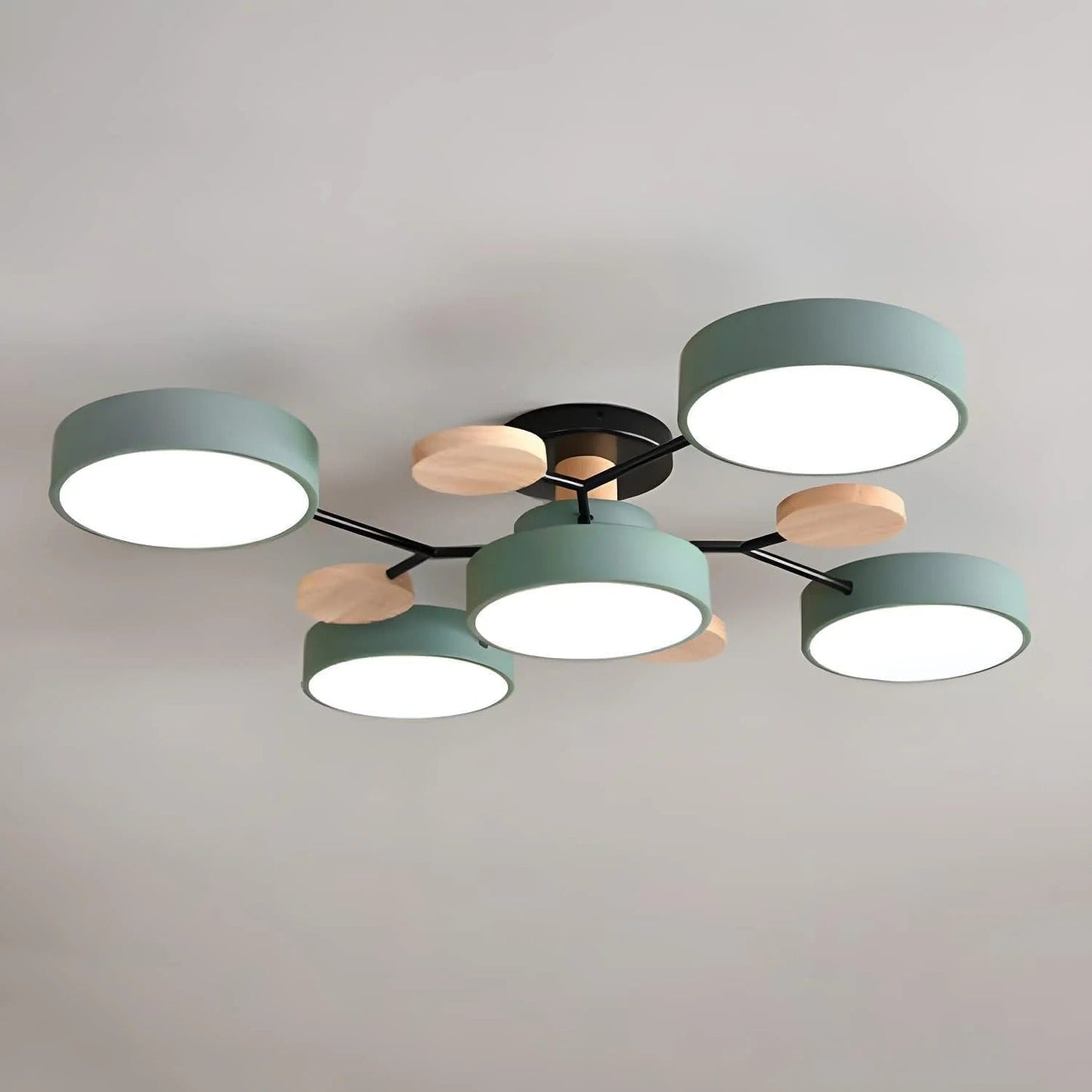 Circular Metal LED Pendant Light For Home