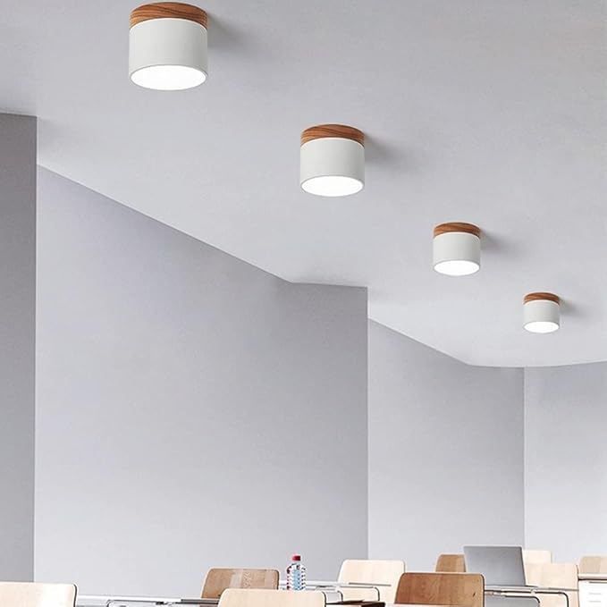 Bright Modern LED Ceiling Lamp for Home