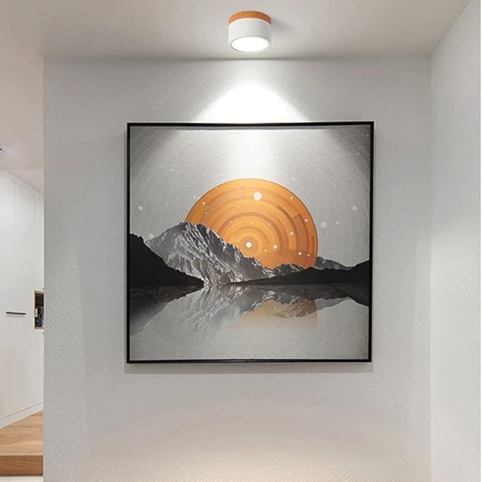 Bright Modern LED Ceiling Lamp for Home