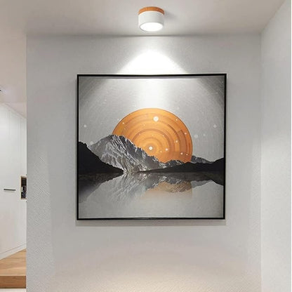 Bright Modern LED Ceiling Lamp for Home