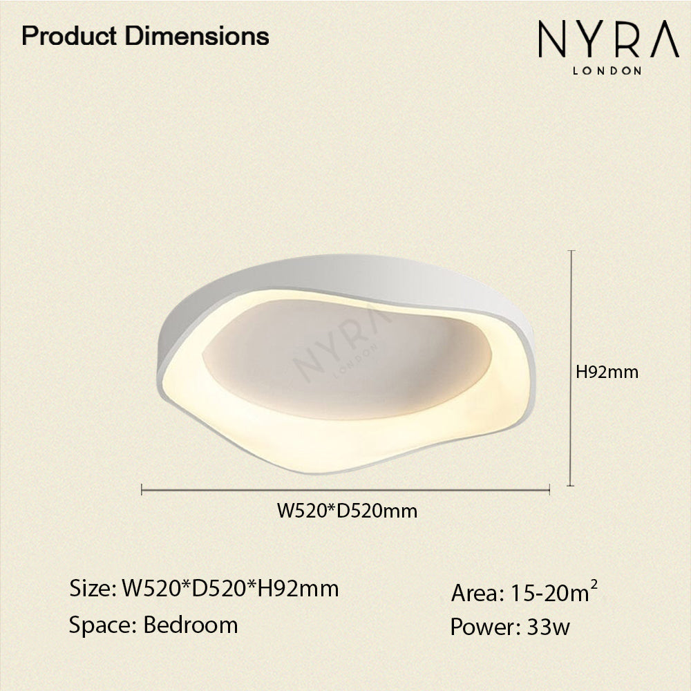 Modern LED Ceiling Wall Light