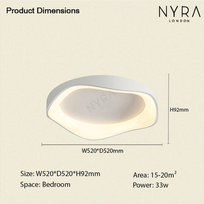 Modern LED Ceiling Wall Light