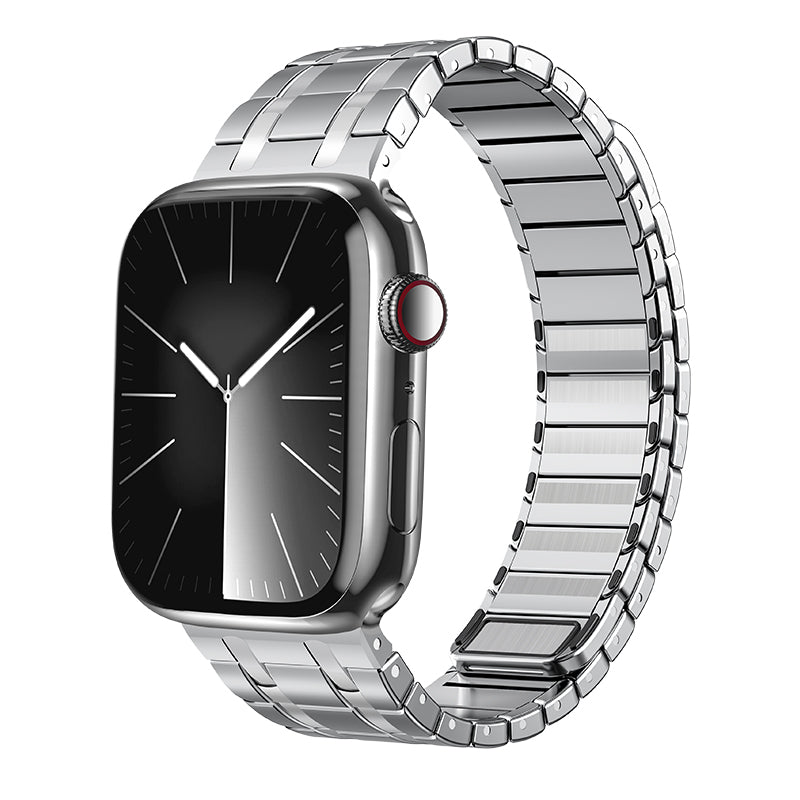 Clear Stainless Steel Apple Watch Magnetic Band