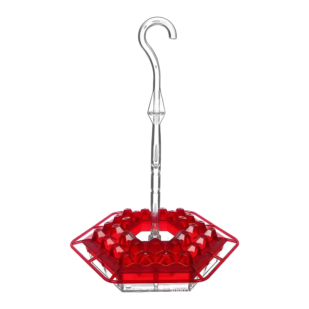Colorful Bird Feeder Hanging Nectar Station