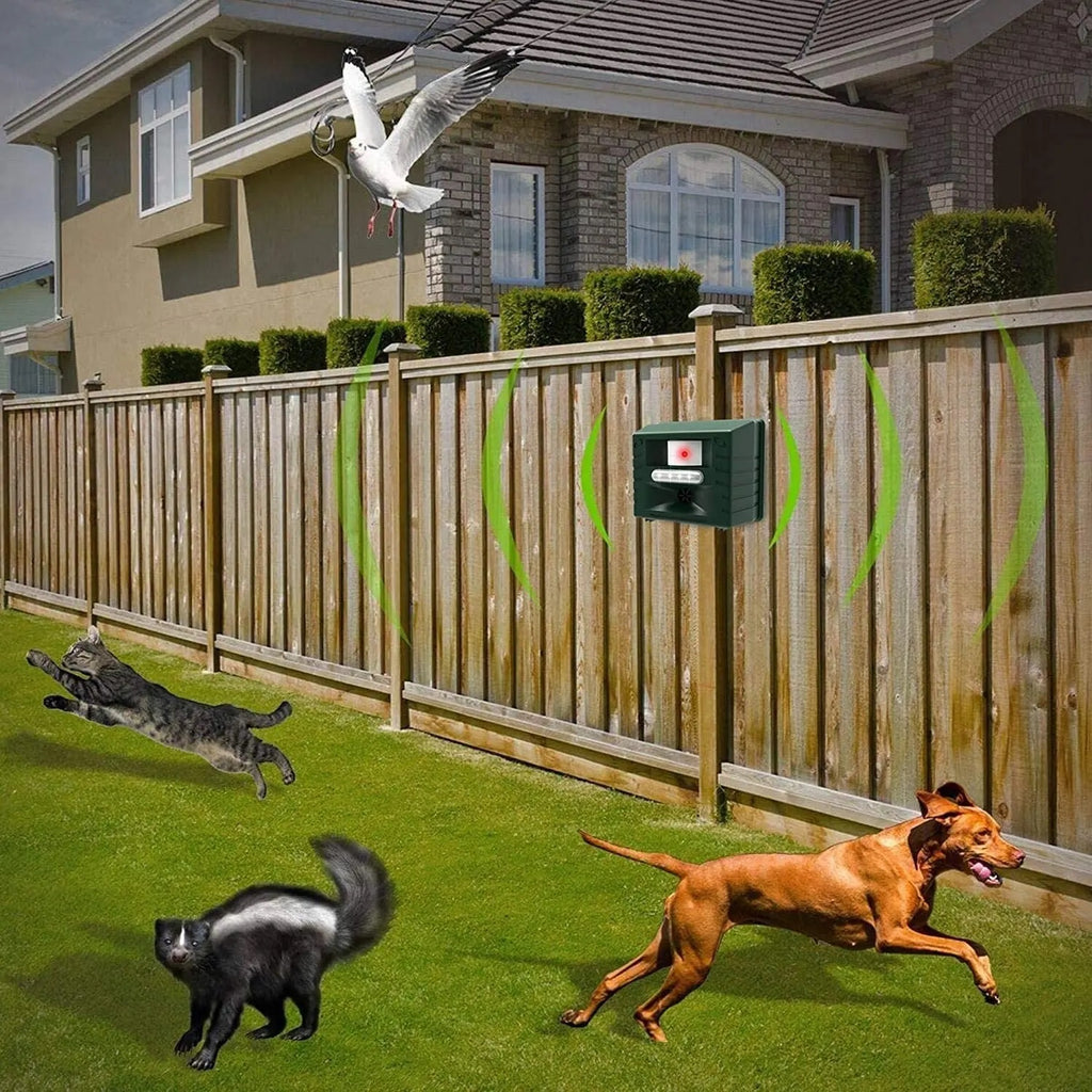 Effective Yard Bird Repellent for Garden Protection