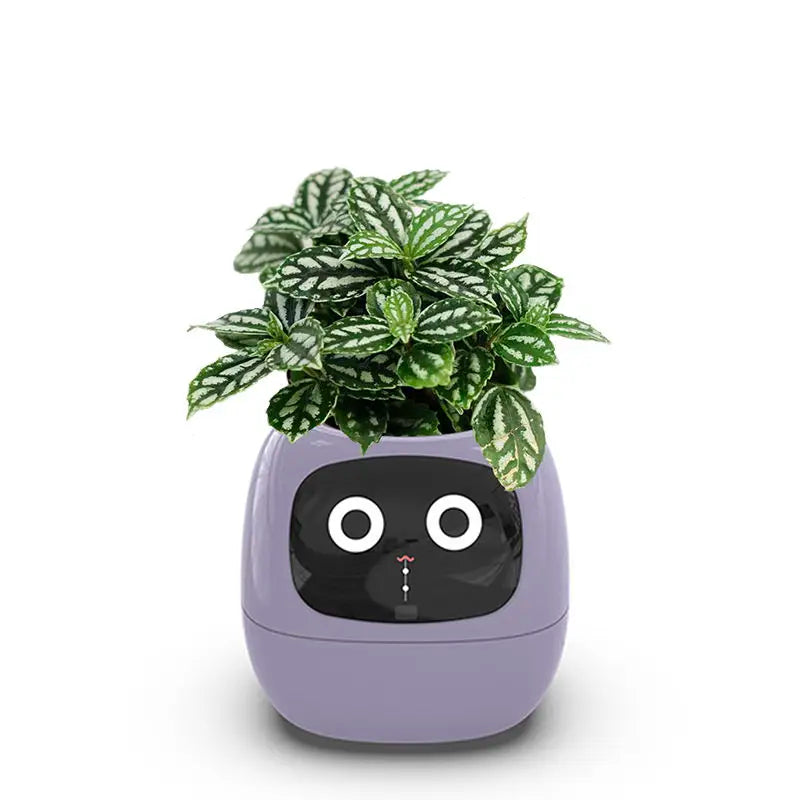 Intelligent Self Watering Indoor Planter With Sensors