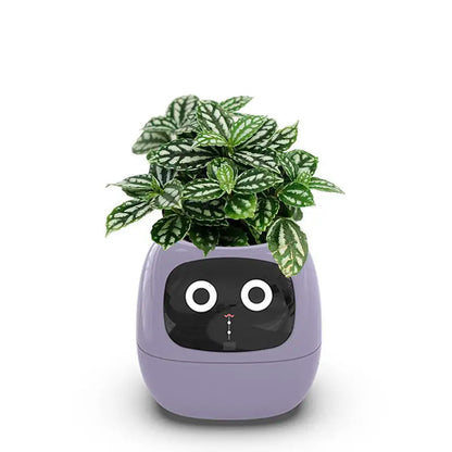 Intelligent Self Watering Indoor Planter With Sensors