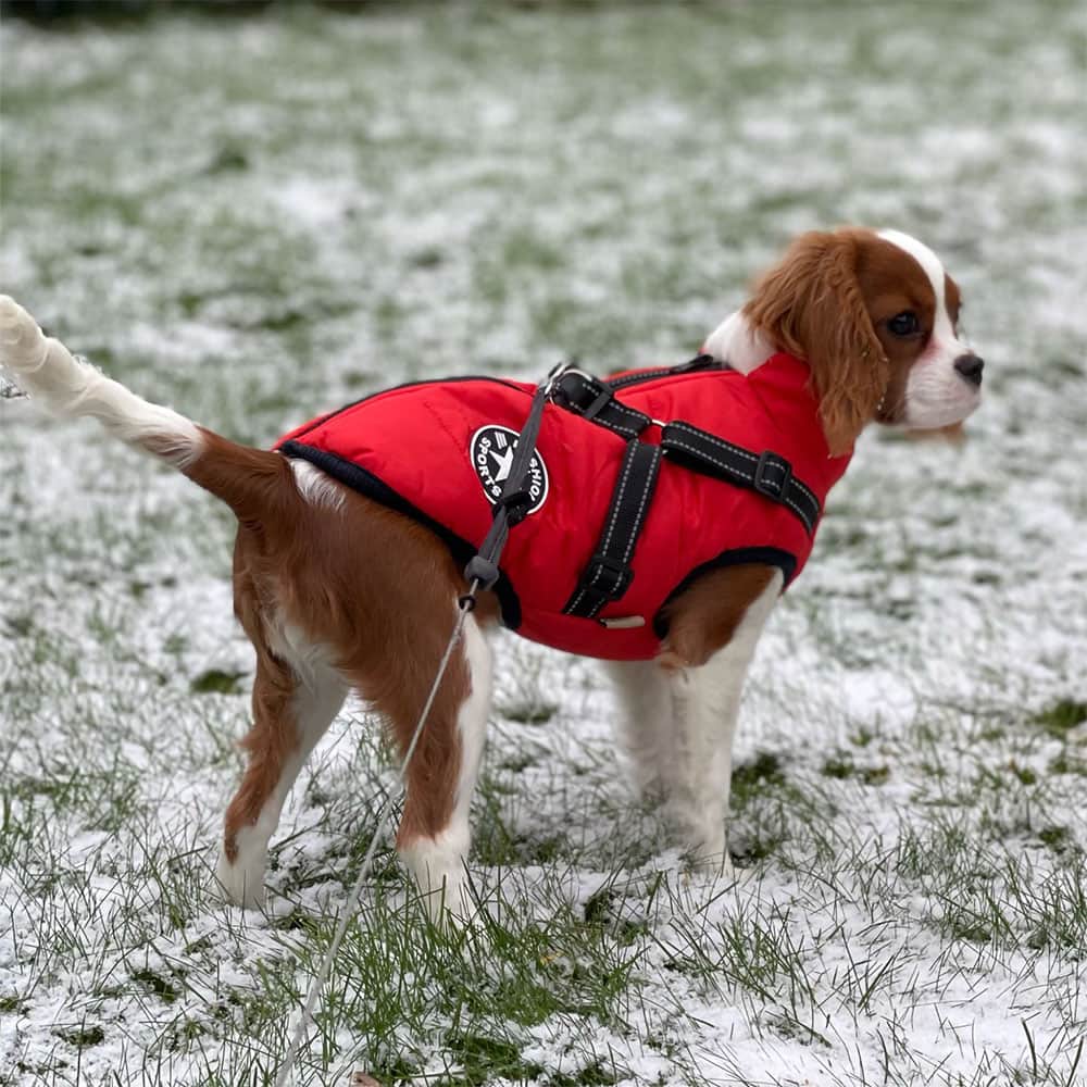 Cozy Pet Fleece Dog Coat