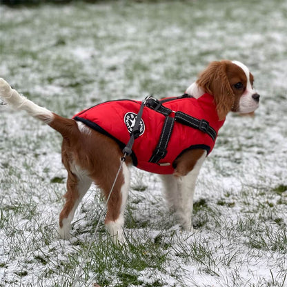Cozy Pet Fleece Dog Coat