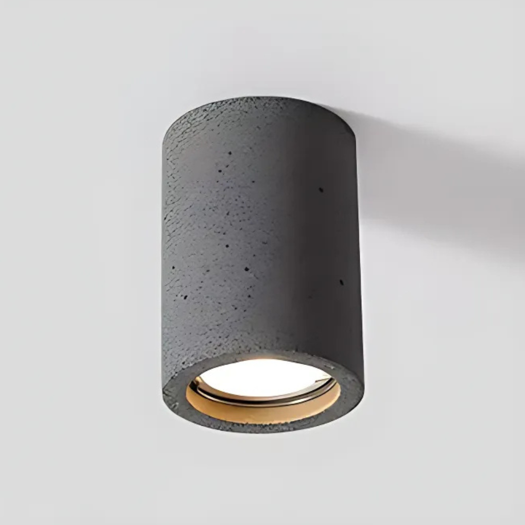 Elegant Home Ceiling Light Fixture