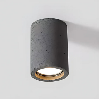 Elegant Home Ceiling Light Fixture