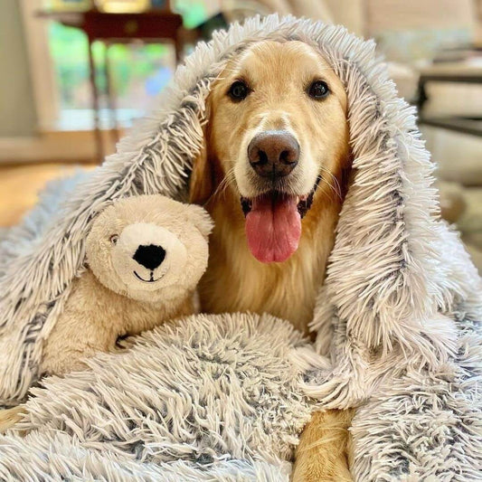 Soft Plush Pet Blanket for Calming Comfort - Lusomart