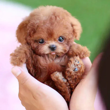 Cute Interactive Puppy Toy With Motion Sensors - Lusomart