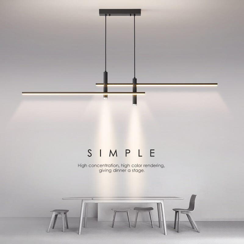Dual Pendant Ceiling Light Fixture