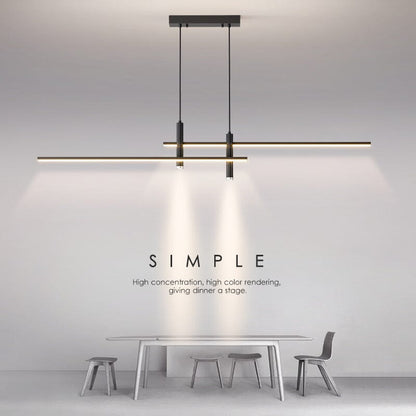 Dual Pendant Ceiling Light Fixture