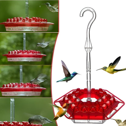 Colorful Bird Feeder Hanging Nectar Station
