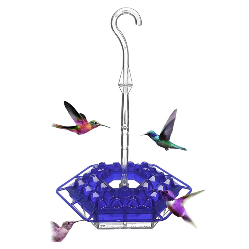 Colorful Bird Feeder Hanging Nectar Station