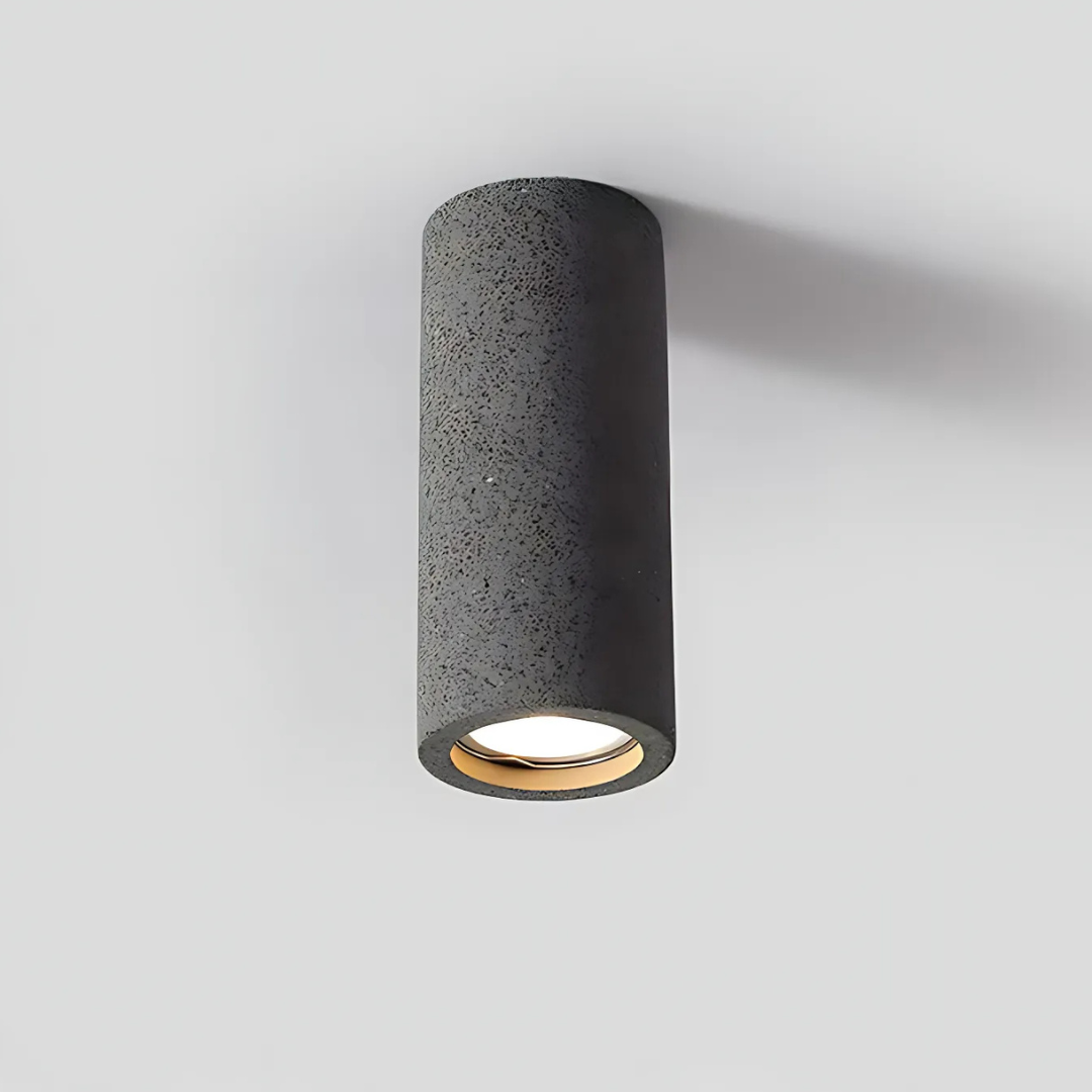 Elegant Home Ceiling Light Fixture