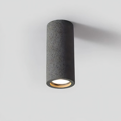 Elegant Home Ceiling Light Fixture