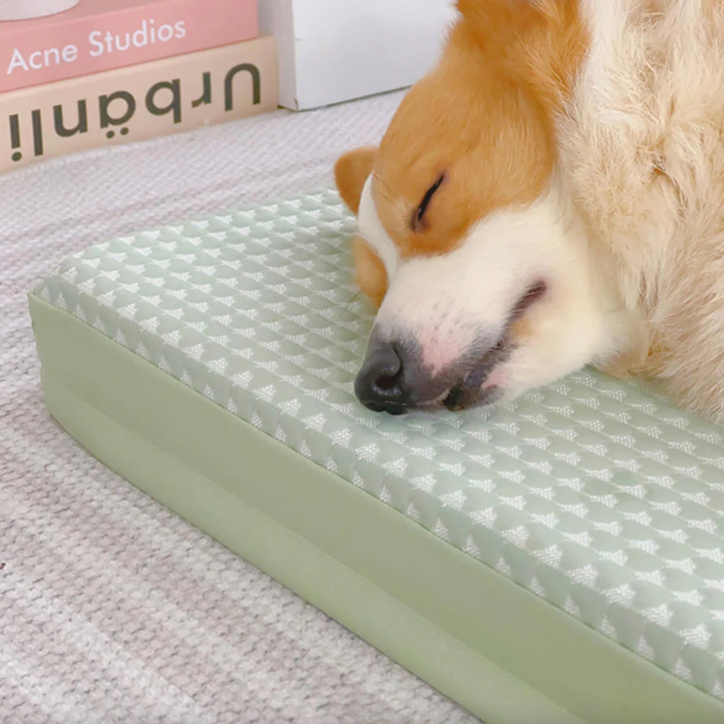 Cooling Gel Dog Bed Orthopedic Waterproof Pet Mattress