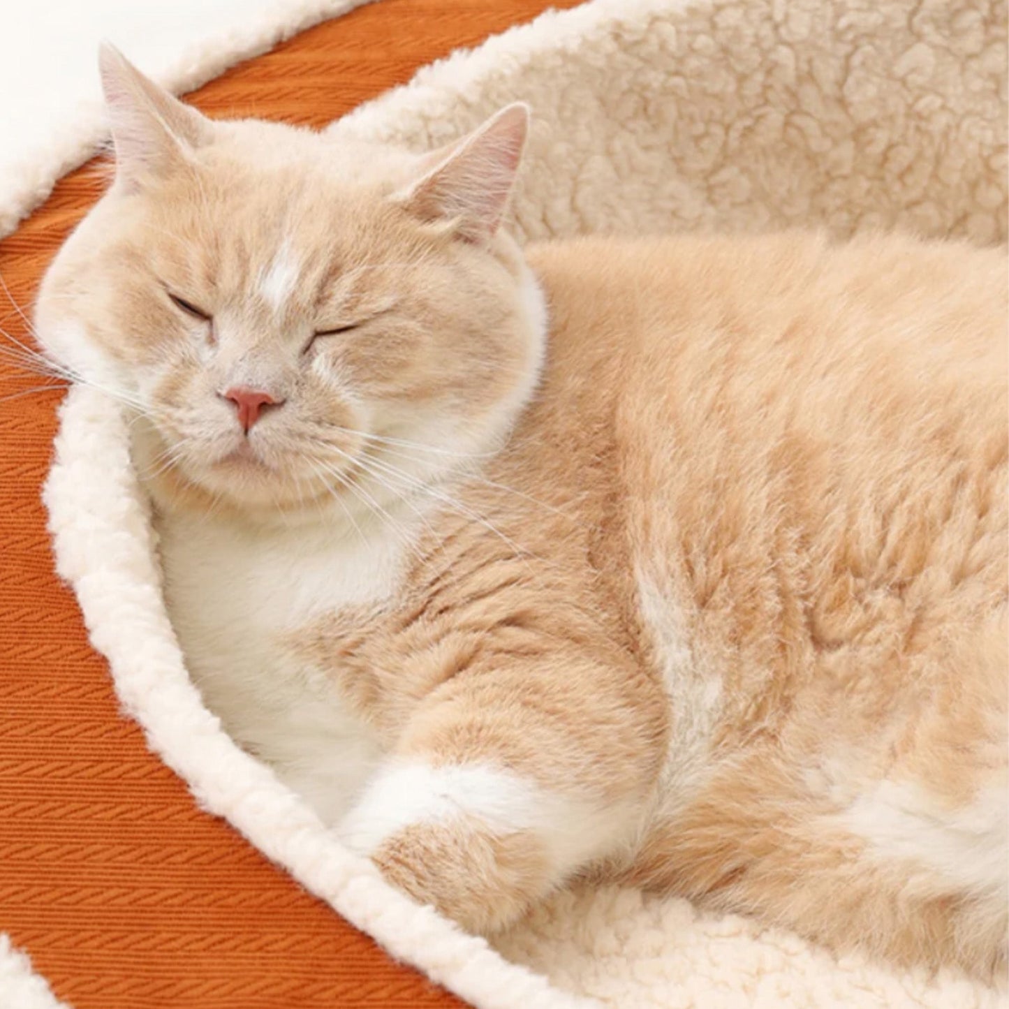 Comfy Soft Round Pet Bed Orthopedic Non Slip Bottom