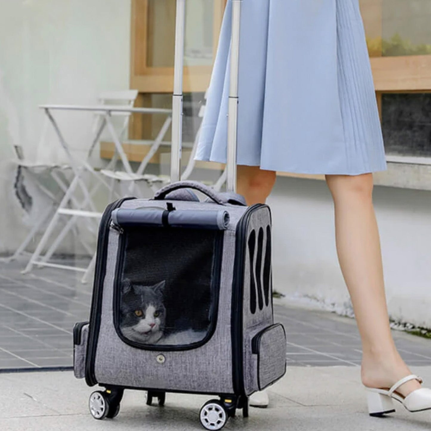 Portable Pet Travel Bag - Lightweight and Compact