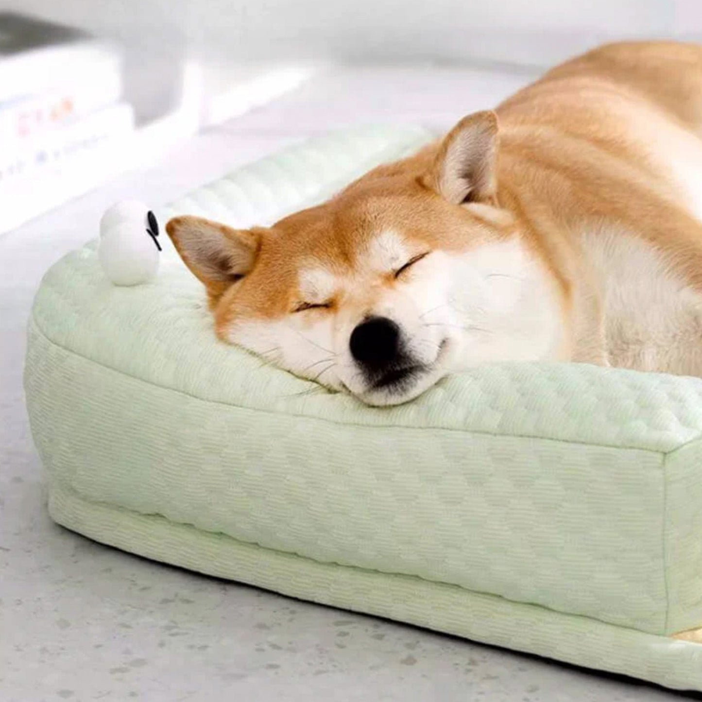Comfortable Pet Bed with Supportive Cooling Design