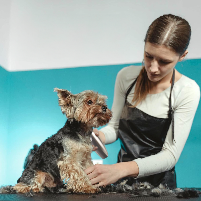 Pet Grooming Fur Care Brush Kit