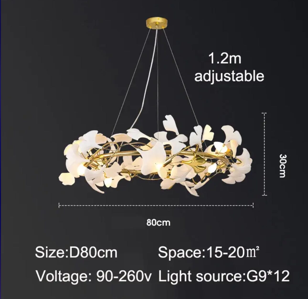 Elegant Dimmable LED Ceiling Light Fixture