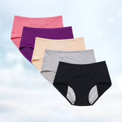 Comfortable Waterproof Ladies Briefs 5 Pack Deal