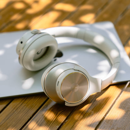 Noise Cancelling Wireless Headphones, Bluetooth 5.0 Microphone