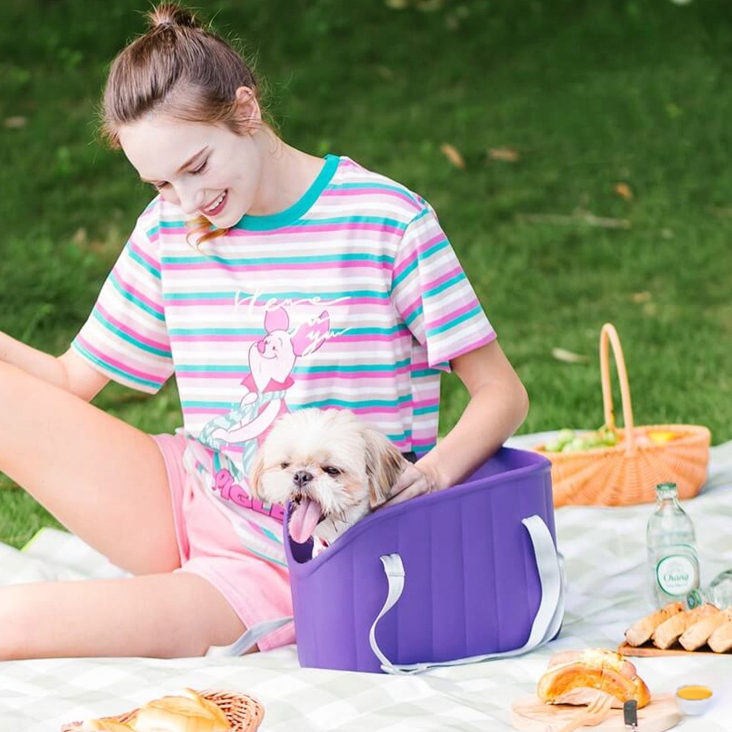 Portable Waterproof Pet Travel Bag